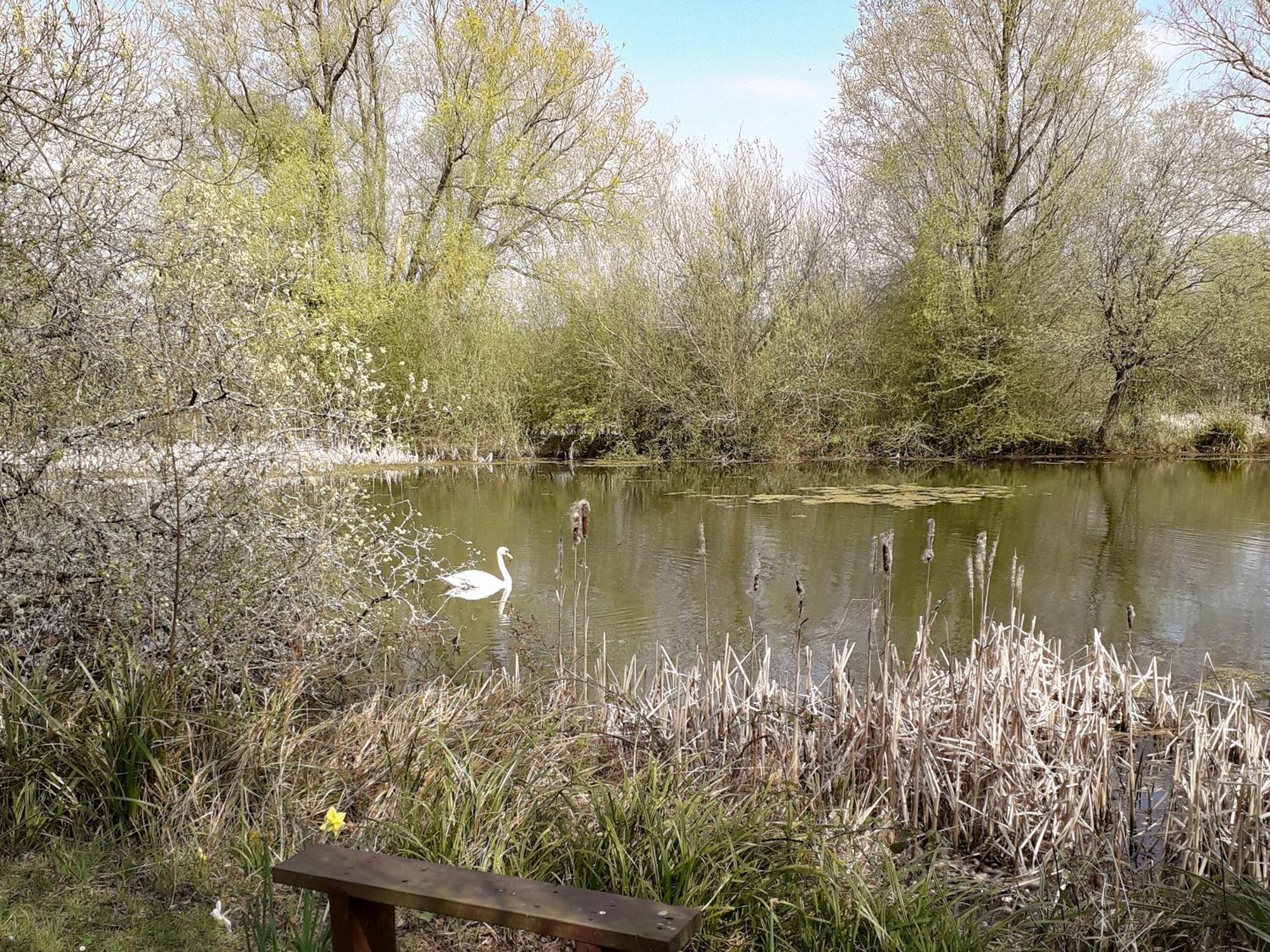 Herons Nest Bourton-on-the-Water Extérieur photo